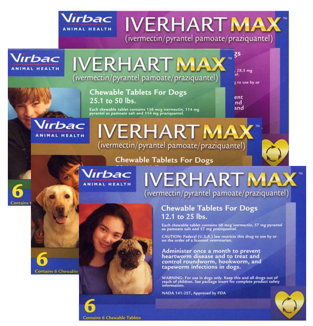 Iverhart store for dogs